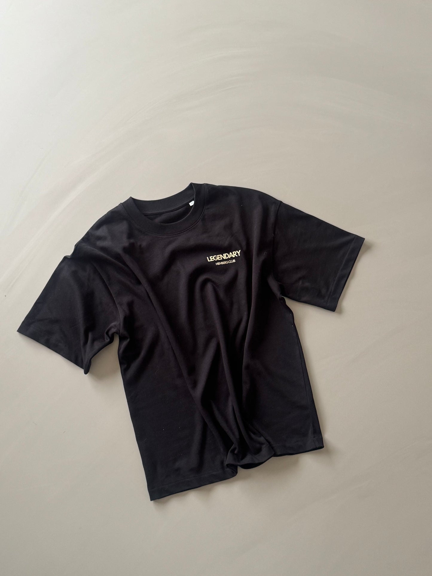 "The Legends" Tee (Boxy Fit) 280 G/M2
